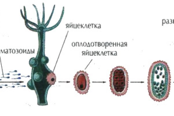 Можно вывести деньги с кракена