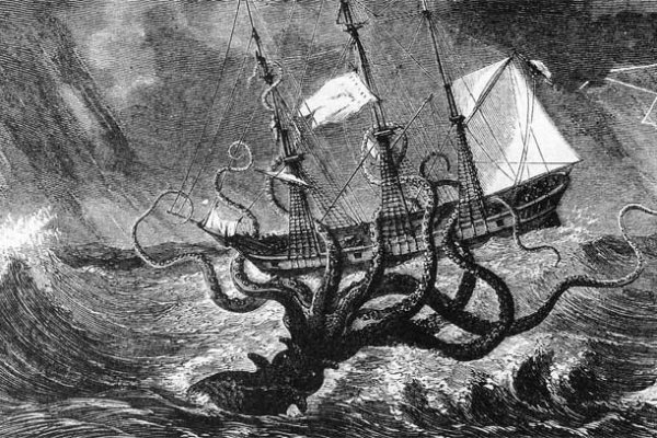 Kraken online