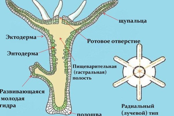 Кракен интернет площадка